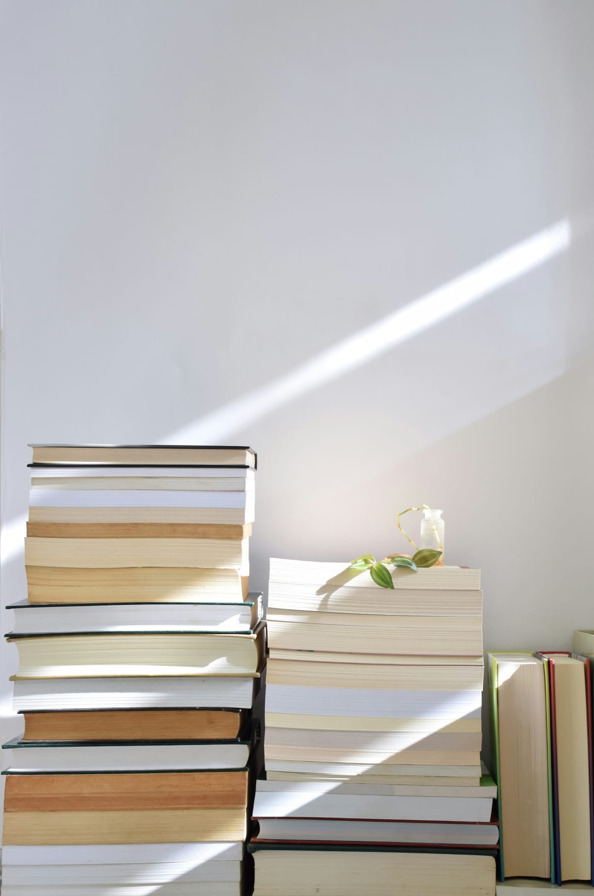 https://www.magasinetroest.dk/content/images/2025/09/asal-lotfi-8ePZbdxnpi0-unsplash.jpg